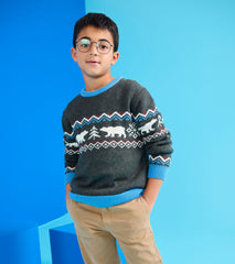 Hatley Boys Polar Winter Crew Neck Sweater