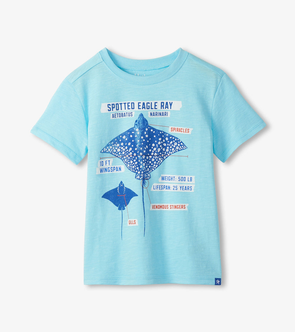 Hatley Boys Sting Ray Graphic Tee