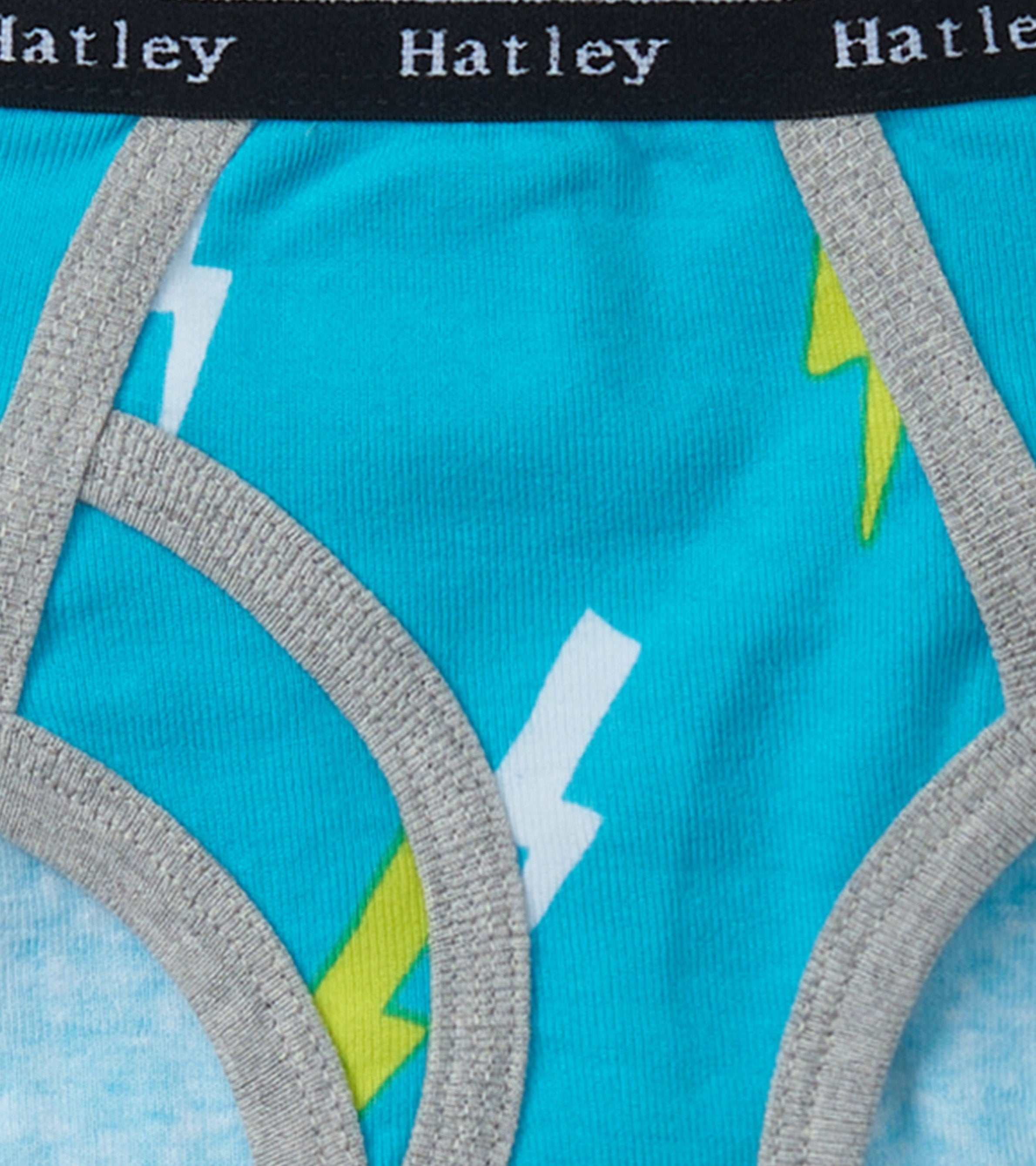 Hatley Boys Silhouette Nature 3 Pack Classic Briefs
