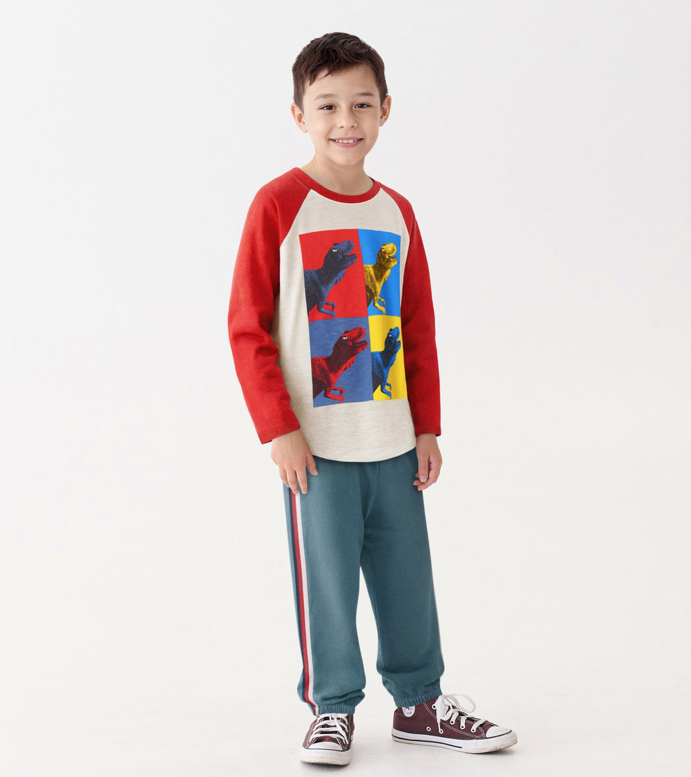 Hatley Boys Dinos Cubed Long Sleeve Raglan T-Shirt