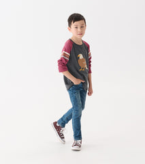 Hatley Boys Eagle Long Sleeve Raglan T-Shirt