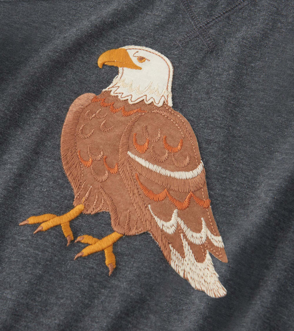 Hatley Boys Eagle Long Sleeve Raglan T-Shirt
