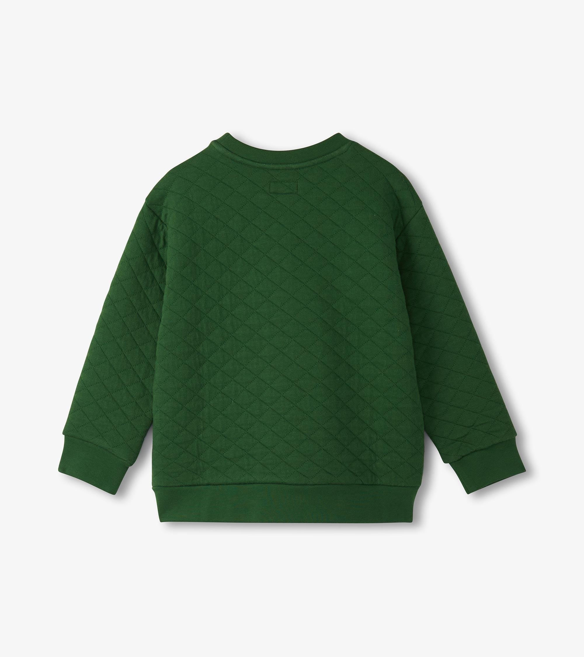 Hatley Boys Eden Green Quilted Pullover