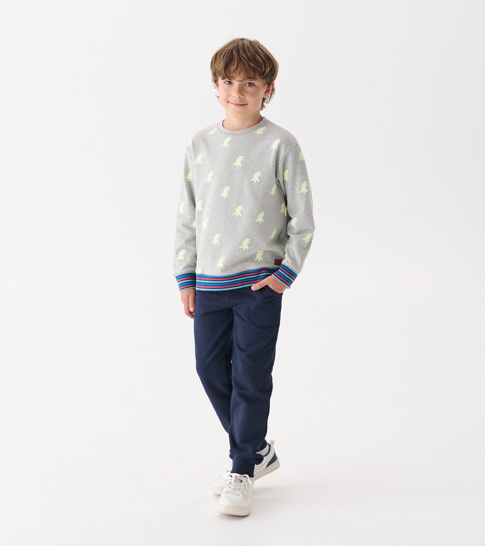 Hatley Boys Monster Glow in the Dark Pullover Sweatshirt