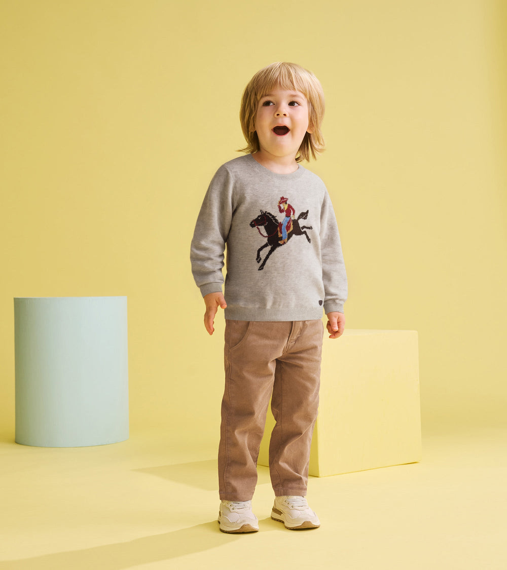 Hatley Baby & Toddler Boys Ranch Crew Neck Sweater