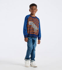 Hatley Boys Dino Mixed Stripes Raglan Sweater