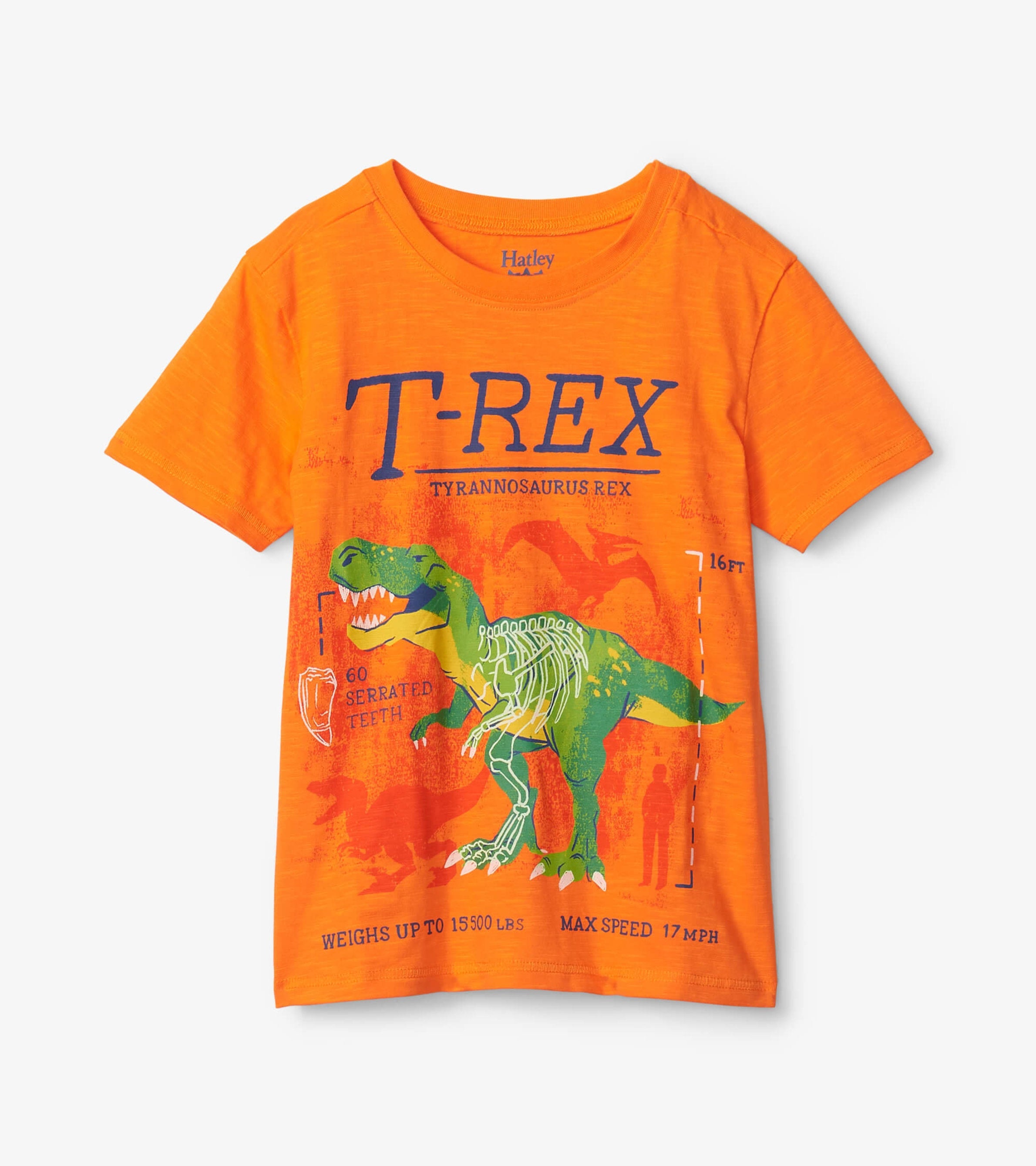 Hatley T-Rex Glow In The Dark Graphic Tee