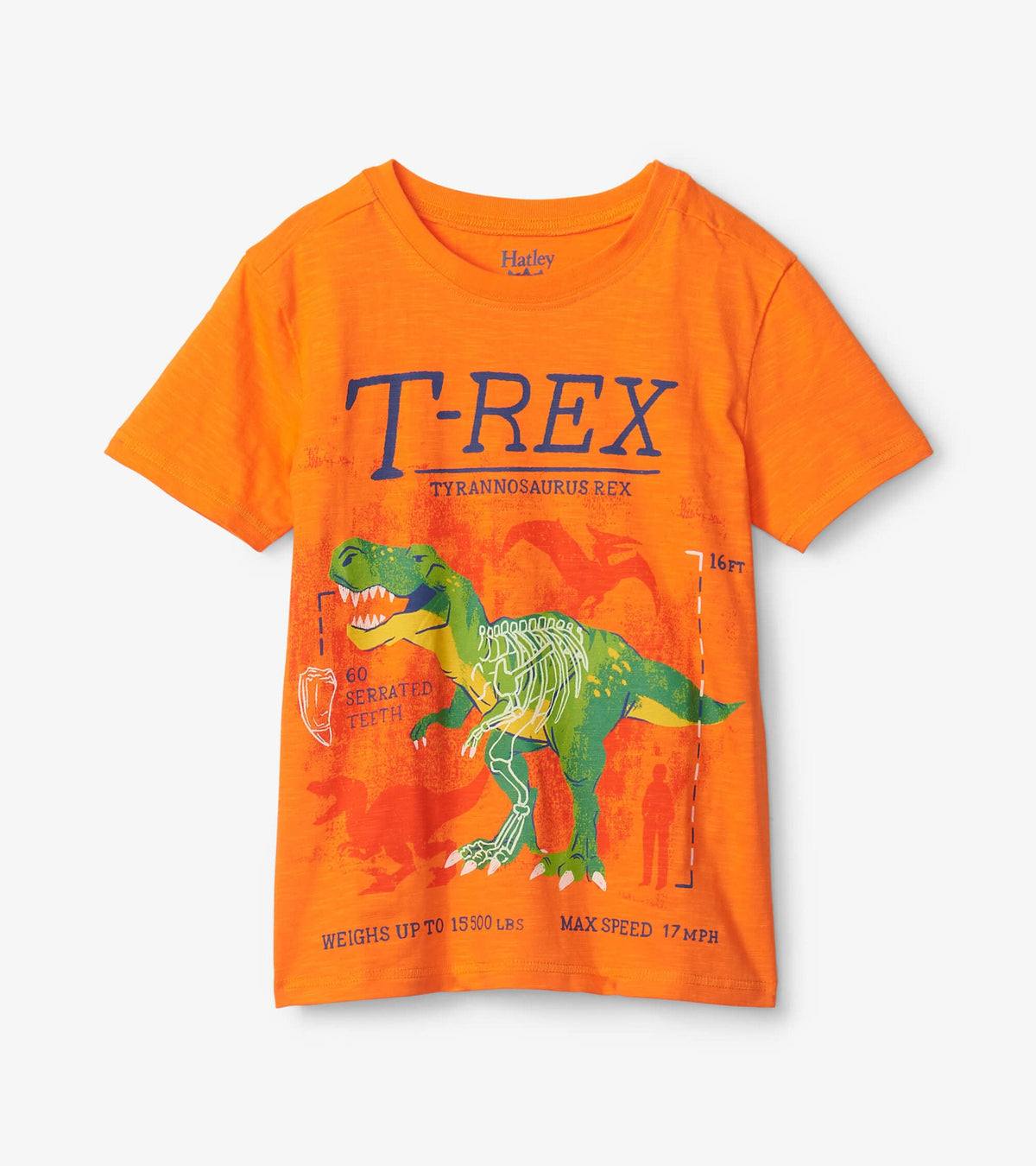 Hatley T-Rex Glow In The Dark Graphic Tee