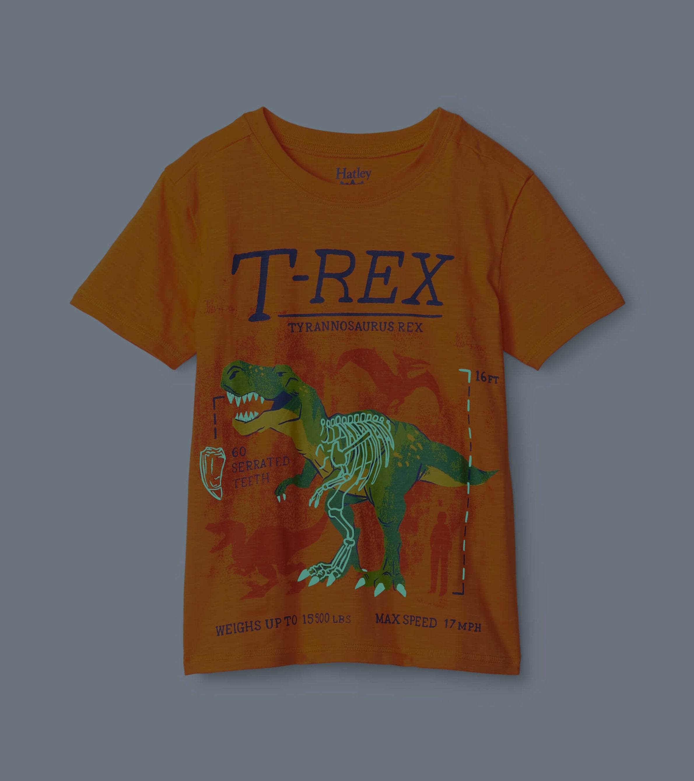 Hatley T-Rex Glow In The Dark Graphic Tee