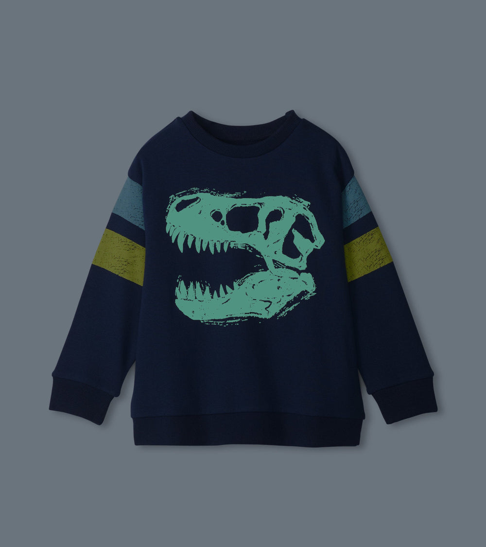 Hatley Boys Dino Glow Pullover Sweatshirt
