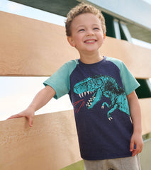 Hatley Boys T-Rex Raglan T-Shirt