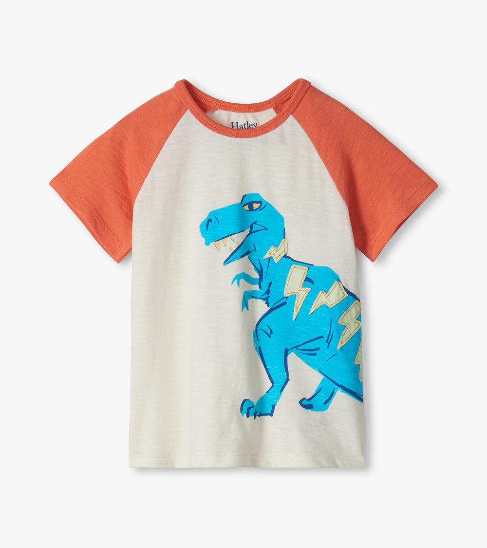 Hatley Baby & Toddler Boys Glow in the Dark Stegosaurus T-Shirt & Shorts Set