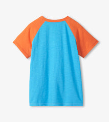Hatley Boys Shark Raglan T-Shirt