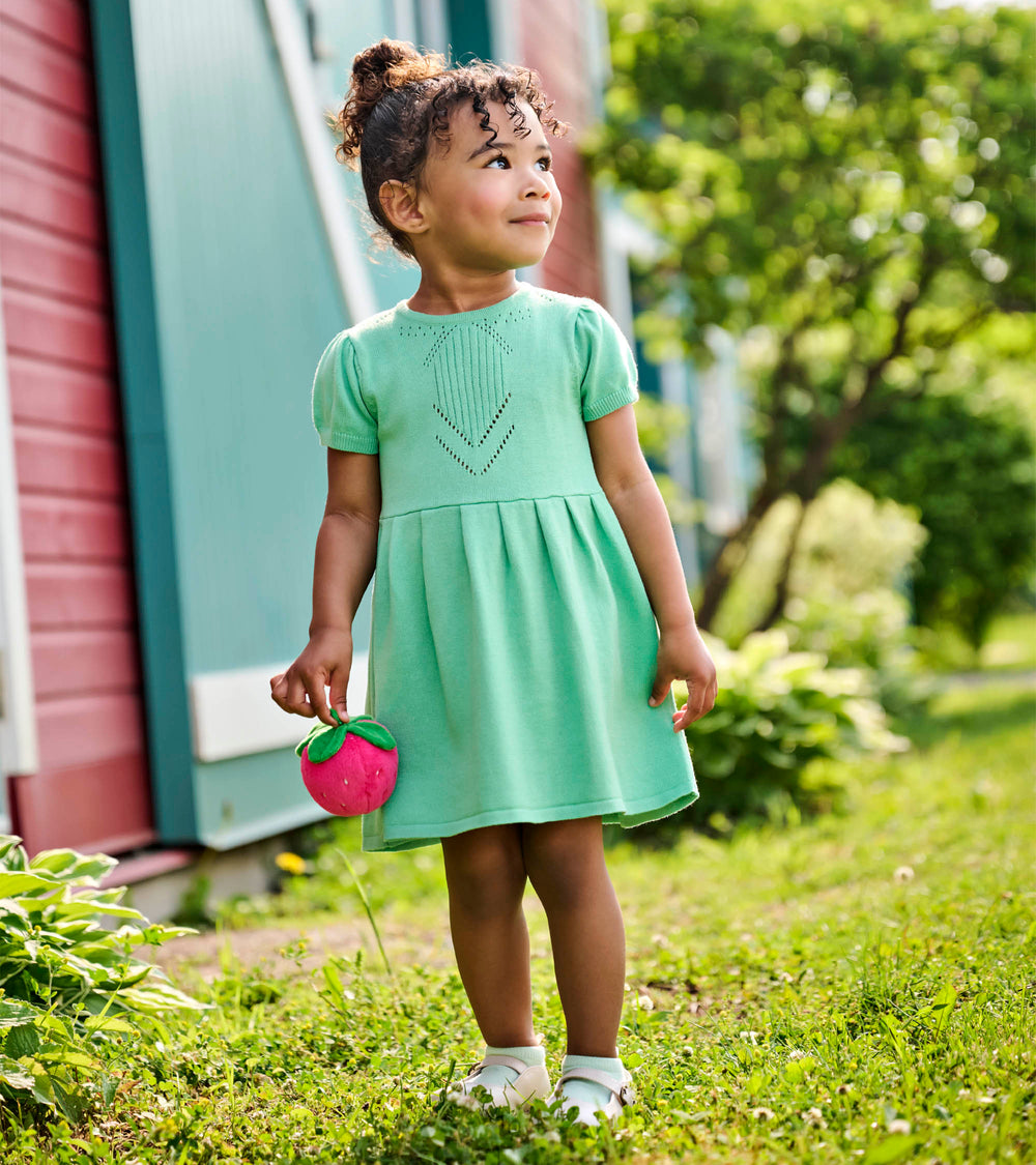 Hatley Baby & Toddler Girls Neptune Green Knit Pointelle Dress