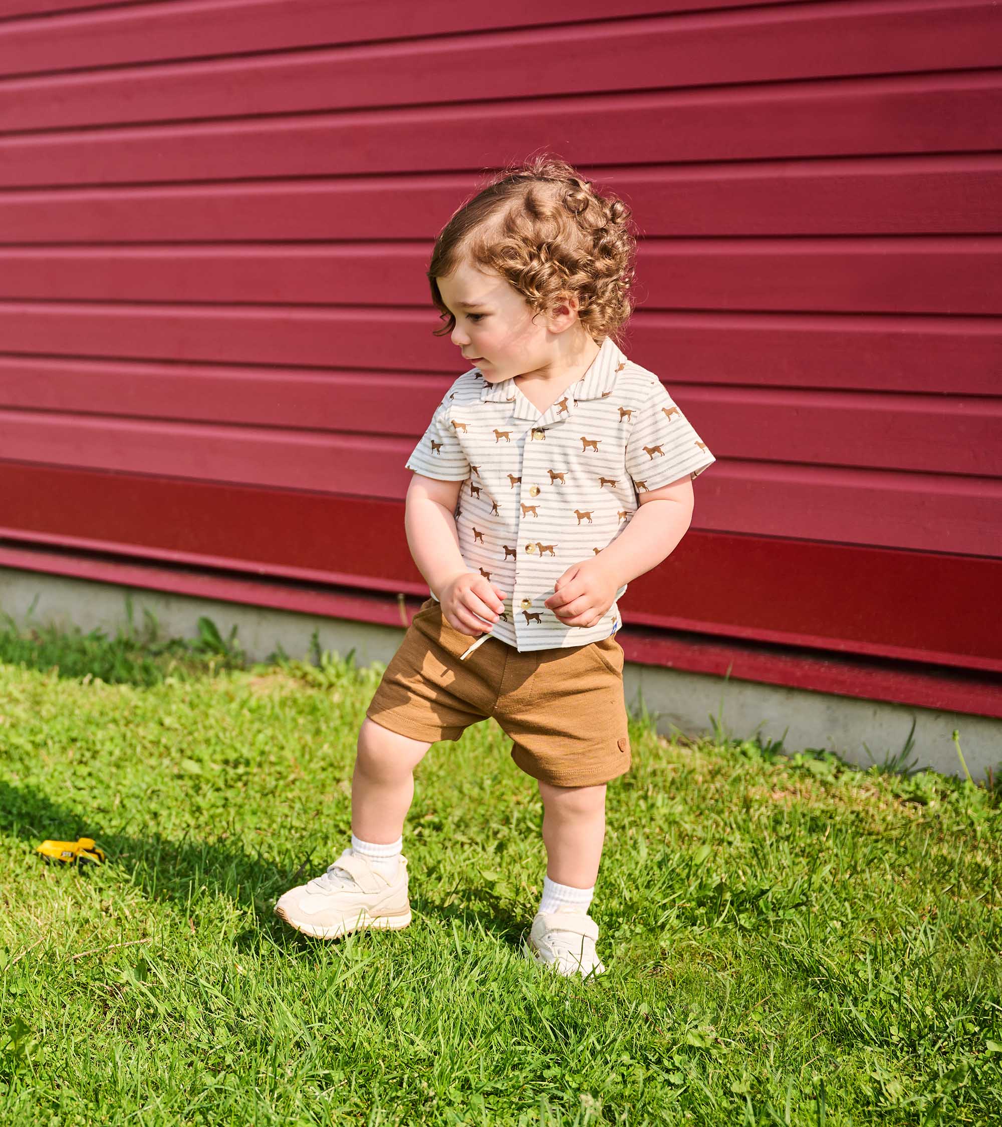 Hatley Baby & Toddler Boys Toasted Coconut Pull-On Shorts